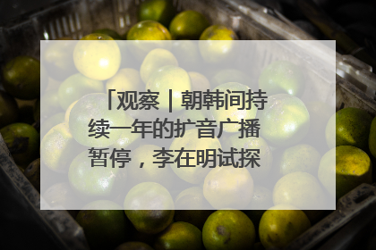 观察｜朝韩间持续一年的扩音广播暂停，李在明试探性将球踢向朝鲜