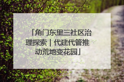 角门东里三社区治理探索｜代建代管推动荒地变花园