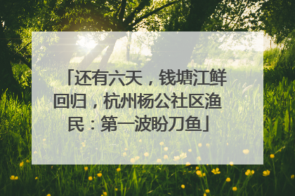 还有六天，钱塘江鲜回归，杭州杨公社区渔民：第一波盼刀鱼