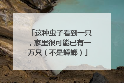这种虫子看到一只，家里很可能已有一万只（不是蟑螂）