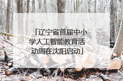 辽宁省首届中小学人工智能教育活动周在沈阳启动