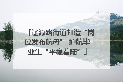 辽源路街道打造“岗位发布航母” 护航毕业生“平稳着陆”