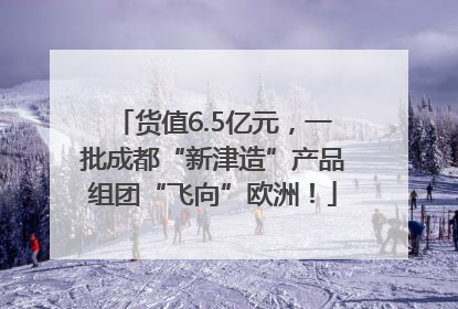 货值6.5亿元，一批成都“新津造”产品组团“飞向”欧洲！