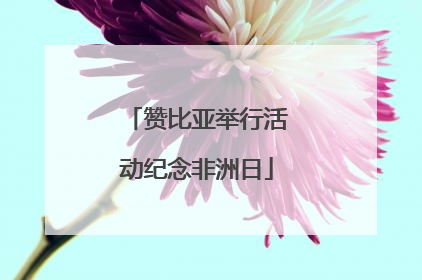 赞比亚举行活动纪念非洲日