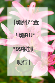 赣州严查！赣BU**99被抓现行