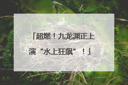 超燃！九龙渊正上演“水上狂飙”！