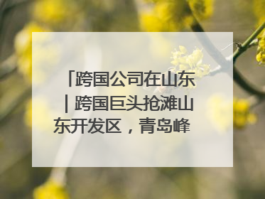 跨国公司在山东｜跨国巨头抢滩山东开发区，青岛峰会拉开帷幕