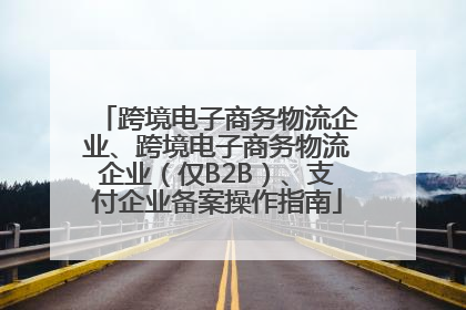 跨境电子商务物流企业、跨境电子商务物流企业（仅B2B）、支付企业备案操作指南