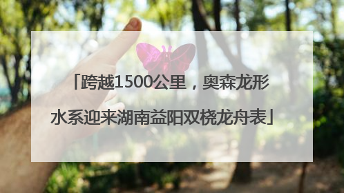 跨越1500公里，奥森龙形水系迎来湖南益阳双桡龙舟表