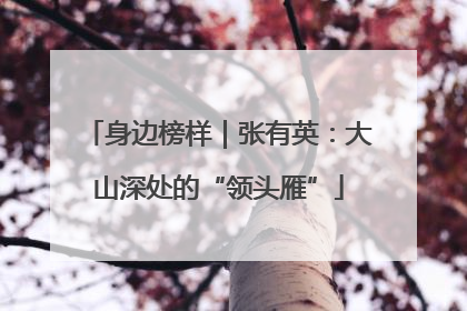 身边榜样｜张有英：大山深处的“领头雁”