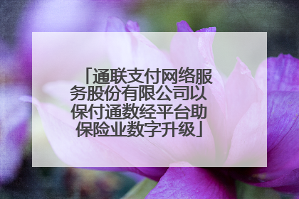 通联支付网络服务股份有限公司以保付通数经平台助保险业数字升级