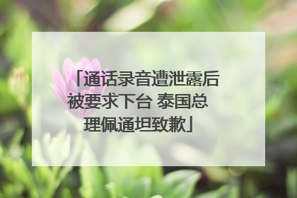 通话录音遭泄露后被要求下台 泰国总理佩通坦致歉