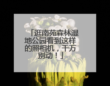 逛南苑森林湿地公园看到这样的照相机，千万别动！