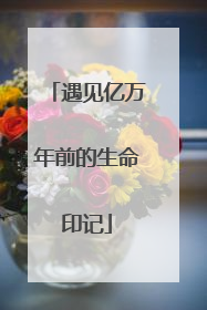 遇见亿万年前的生命印记