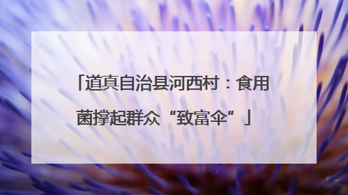 道真自治县河西村：食用菌撑起群众“致富伞”