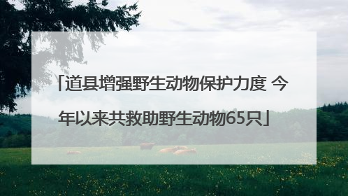 道县增强野生动物保护力度 今年以来共救助野生动物65只