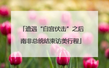 遭遇“白宫伏击”之后 南非总统结束访美行程