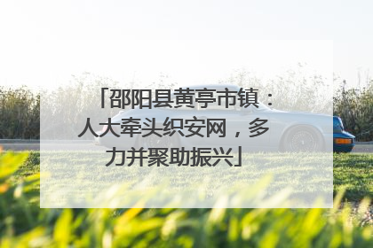 邵阳县黄亭市镇：人大牵头织安网，多力并聚助振兴