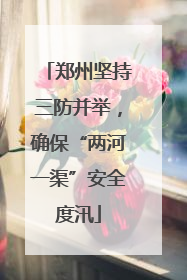 郑州坚持三防并举，确保“两河一渠”安全度汛