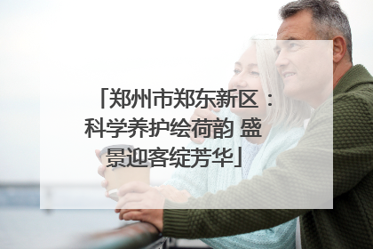 郑州市郑东新区：科学养护绘荷韵 盛景迎客绽芳华