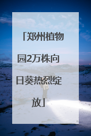 郑州植物园2万株向日葵热烈绽放