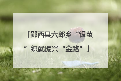 郧西县六郎乡“银茧”织就振兴“金路”