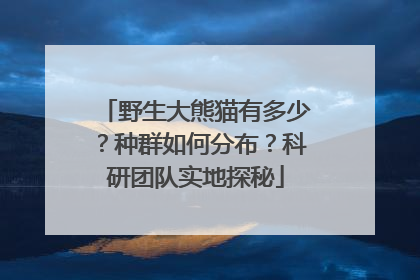 野生大熊猫有多少？种群如何分布？科研团队实地探秘