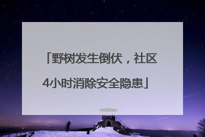 野树发生倒伏，社区4小时消除安全隐患