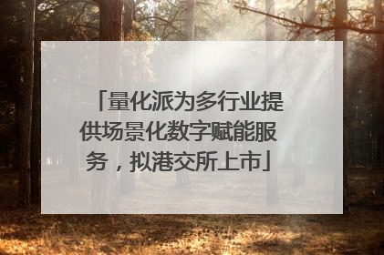 量化派为多行业提供场景化数字赋能服务，拟港交所上市