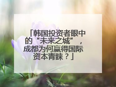 韩国投资者眼中的“未来之城”，成都为何赢得国际资本青睐？