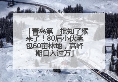 青岛第一批知了猴来了！80后小伙承包60亩林地，高峰期日入过万