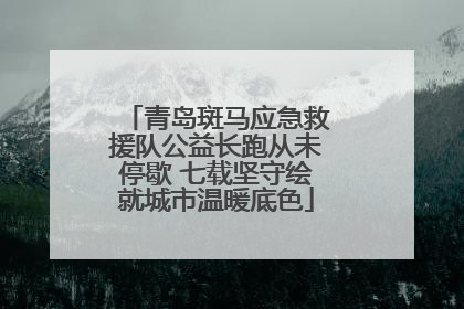 青岛斑马应急救援队公益长跑从未停歇 七载坚守绘就城市温暖底色