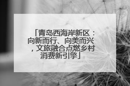 青岛西海岸新区：向新而行、向美而兴，文旅融合点燃乡村消费新引擎