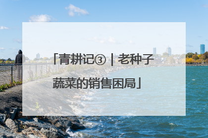 青耕记③｜老种子蔬菜的销售困局