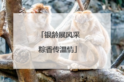银龄展风采 粽香传温情