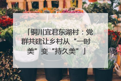 铜川宜君东湖村：党群共建让乡村从“一时美”变“持久美”