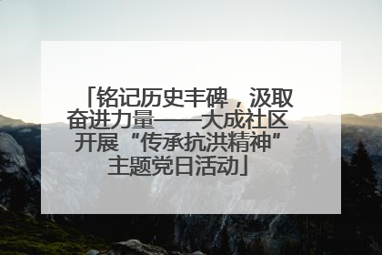 铭记历史丰碑，汲取奋进力量——大成社区开展“传承抗洪精神”主题党日活动