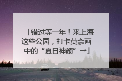 错过等一年！来上海这些公园，打卡莫奈画中的“夏日神颜”→