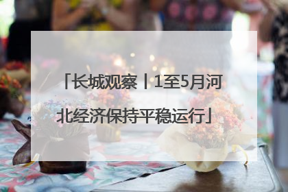 长城观察丨1至5月河北经济保持平稳运行