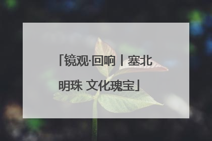 镜观·回响丨塞北明珠 文化瑰宝