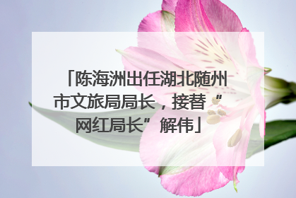 陈海洲出任湖北随州市文旅局局长，接替“网红局长”解伟
