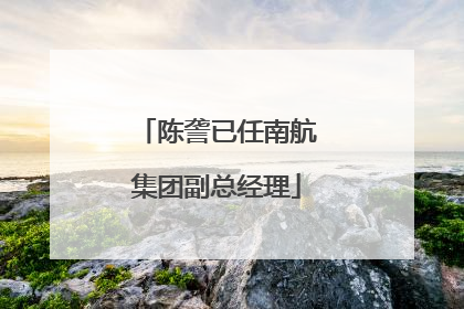 陈詟已任南航集团副总经理