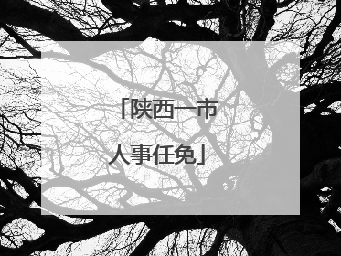 陕西一市人事任免