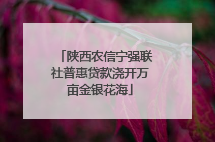 陕西农信宁强联社普惠贷款浇开万亩金银花海