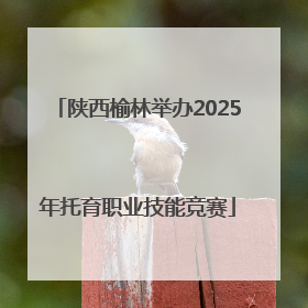 陕西榆林举办2025年托育职业技能竞赛