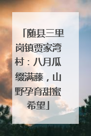 随县三里岗镇贾家湾村：八月瓜缀满藤，山野孕育甜蜜希望
