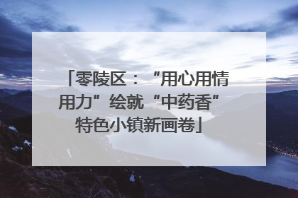零陵区：“用心用情用力”绘就“中药香”特色小镇新画卷