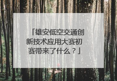 雄安低空交通创新技术应用大赛初赛带来了什么？