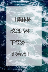 集体林改激活林下经济一池春水