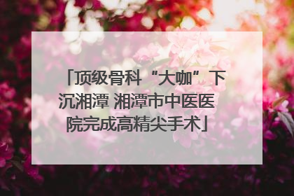顶级骨科“大咖”下沉湘潭 湘潭市中医医院完成高精尖手术